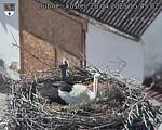 Capi_Dubne_20250420_154502.jpg