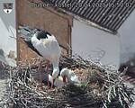 Capi_Dubne_20250420_155002.jpg