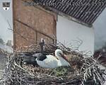 Capi_Dubne_20250420_160503.jpg