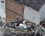 Capi_Dubne_20250420_161003.jpg