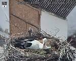 Capi_Dubne_20250420_162503.jpg