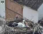 Capi_Dubne_20250420_163002.jpg