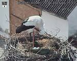 Capi_Dubne_20250420_163503.jpg