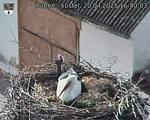 Capi_Dubne_20250420_164003.jpg