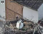Capi_Dubne_20250420_164502.jpg