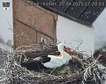 Capi_Dubne_20250420_172003.jpg