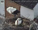 Capi_Dubne_20250420_175504.jpg