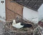 Capi_Dubne_20250420_181003.jpg