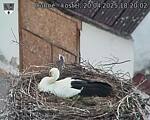 Capi_Dubne_20250420_182002.jpg