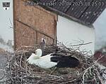 Capi_Dubne_20250420_182503.jpg