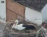 Capi_Dubne_20250420_183002.jpg