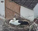 Capi_Dubne_20250420_184002.jpg
