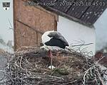 Capi_Dubne_20250420_184503.jpg