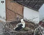Capi_Dubne_20250420_185003.jpg