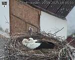 Capi_Dubne_20250420_190503.jpg