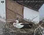 Capi_Dubne_20250420_191503.jpg