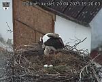 Capi_Dubne_20250420_192003.jpg