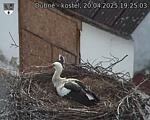 Capi_Dubne_20250420_192503.jpg