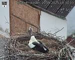 Capi_Dubne_20250420_193003.jpg