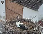 Capi_Dubne_20250420_194002.jpg
