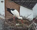 Capi_Dubne_20250420_194503.jpg
