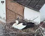 Capi_Dubne_20250420_195502.jpg
