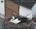 Capi_Dubne_20250420_200003.jpg