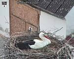 Capi_Dubne_20250420_200503.jpg