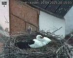 Capi_Dubne_20250420_201503.jpg