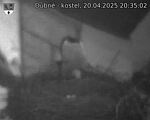 Capi_Dubne_20250420_203502.jpg