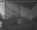 Capi_Dubne_20250420_204003.jpg