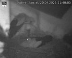 Capi_Dubne_20250420_214003.jpg