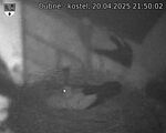 Capi_Dubne_20250420_215002.jpg