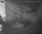 Capi_Dubne_20250420_215503.jpg