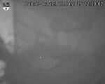 Capi_Dubne_20250420_221003.jpg