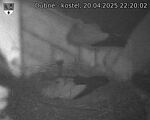Capi_Dubne_20250420_222002.jpg