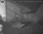 Capi_Dubne_20250420_222503.jpg