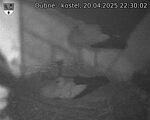 Capi_Dubne_20250420_223002.jpg