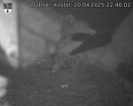 Capi_Dubne_20250420_224002.jpg
