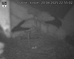 Capi_Dubne_20250420_225502.jpg
