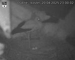 Capi_Dubne_20250420_230003.jpg