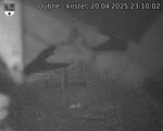 Capi_Dubne_20250420_231002.jpg