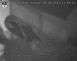 Capi_Dubne_20250420_234002.jpg