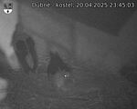 Capi_Dubne_20250420_234503.jpg