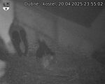 Capi_Dubne_20250420_235502.jpg