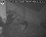 Capi_Dubne_20250421_002003.jpg
