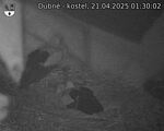 Capi_Dubne_20250421_013002.jpg