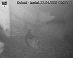 Capi_Dubne_20250421_021502.jpg