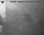 Capi_Dubne_20250421_023502.jpg
