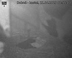 Capi_Dubne_20250421_025503.jpg